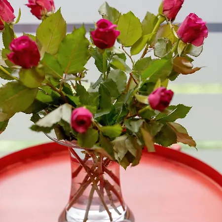 Letniskowy W Rewalu Camping