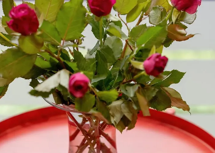 Letniskowy W Rewalu Camping